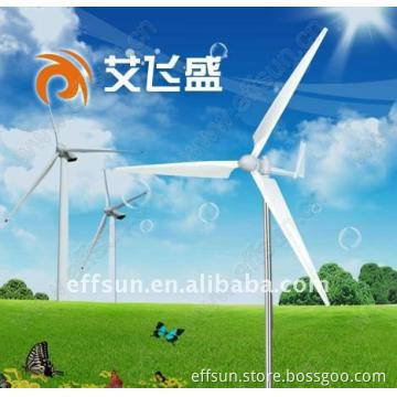 2000W wind power plant